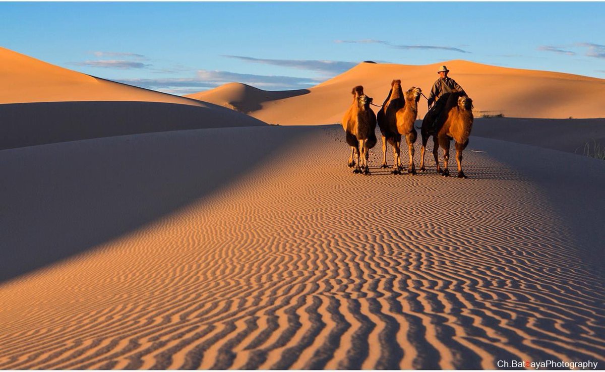 AyanTravel's tweet photo. Dear Travelers (citizens) from the following countries, now you are allowed to visit Mongolia VISA-FREE up to 30 days in 2023-2025 :) 

European countries, Australia, and New Zealand. 
#WelcomeToMongolia #AyanTravelMongolia #TravelToMongolia #ToursMongolia https://t.co/8djWBhJvYU