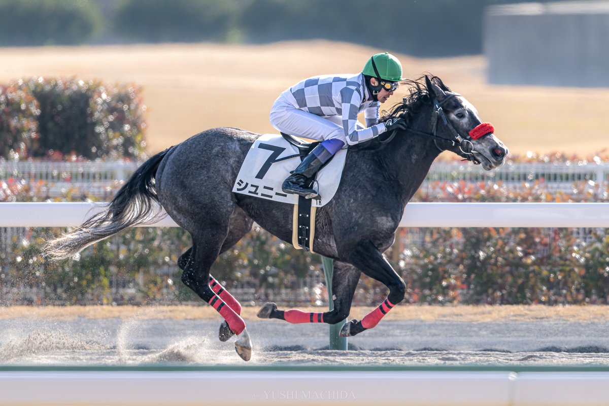 9th. Jan.2023 Chukyo Racecourse,Japan

Schnee × Yutaka Take

It's a memorable first snowfall.

#YutakaTake
#武豊
#Schnee 
#シュニー
#MindYourBiscuits
#マインドユアビスケッツ
#小崎憲
#中京競馬場