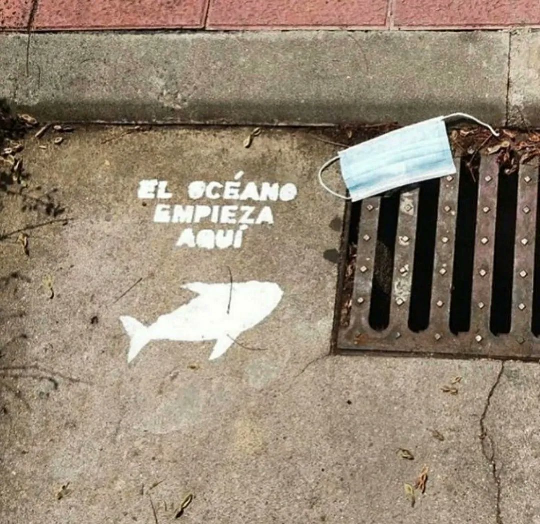 Recuerda: el mar empieza aquí 👇