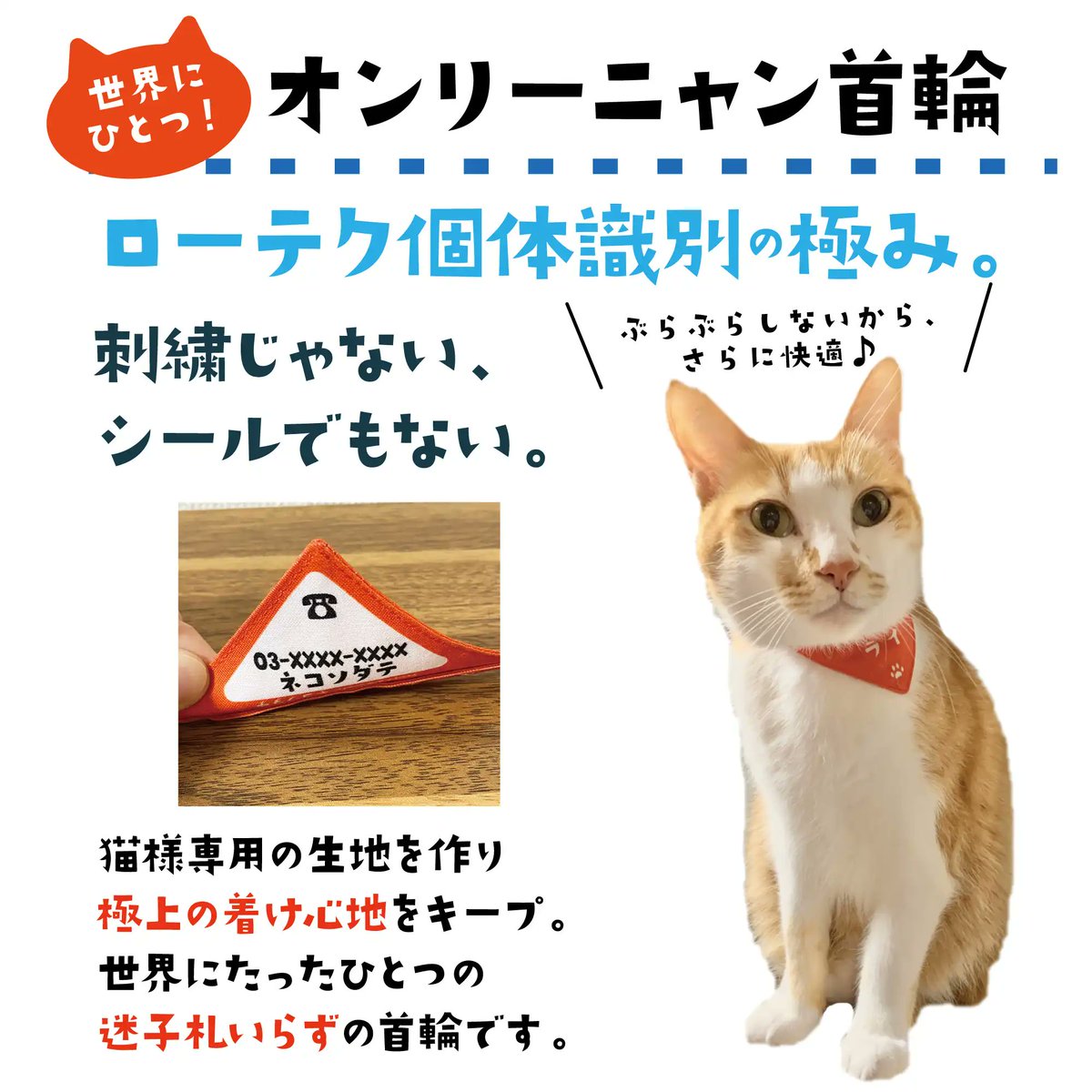 クリアランス売れ筋 ひとつめねこ様 専用 www.m-arteyculturavisual.com