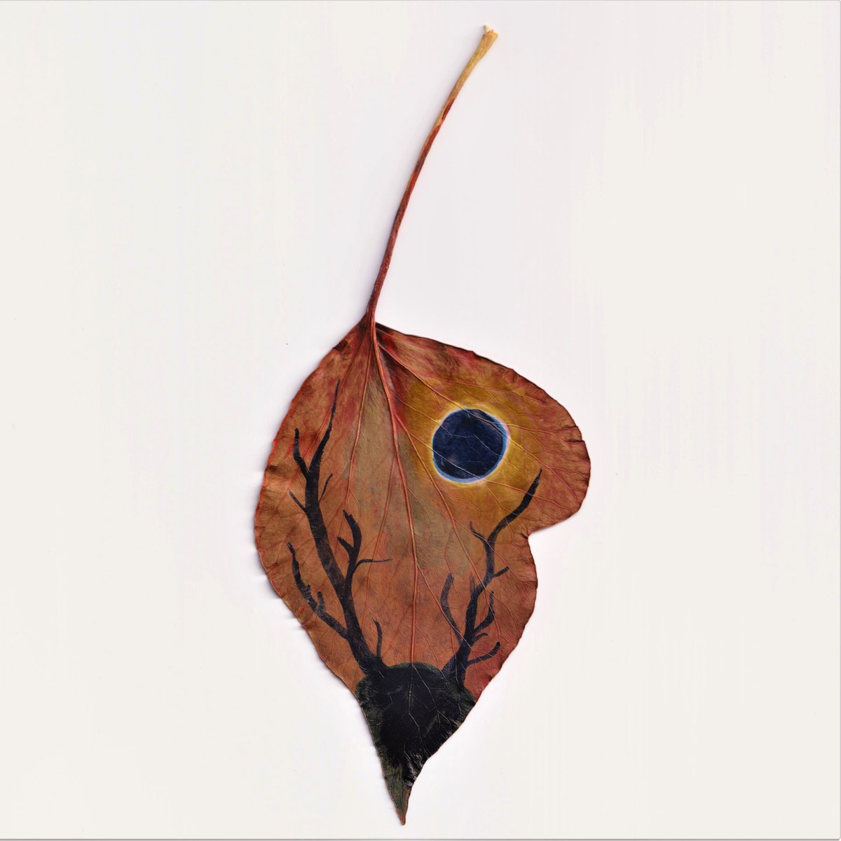 ParrotfishJ's tweet photo. New LEAVES holders batch to share 44 % of Nefty drops revenue share is...
(Jan 9-Jan 23)

🍃Leaf #9 kxyxy.wam @Santa_Rivers
🍃Leaf #92 vzvb.wam @blunt_chemist
🍃Leaf #127 vzvb.wam @blunt_chemist
🍃Leaf #160 vvv3q.c.wam https://t.co/nzOm2G2md5