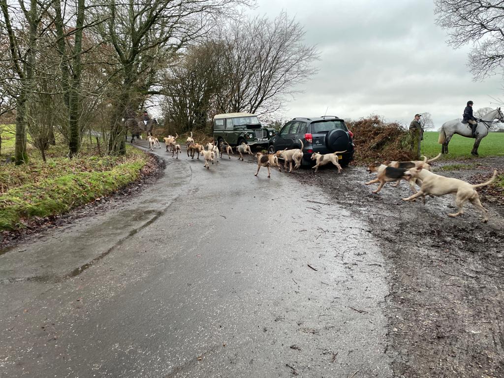 On Saturday, the Hampshire Hunt met at Newmer Farm nr Upper Wield. With sabs on them at all times &amp; with no chance hunting they packed after just 2 hours. We saw one rider using a Pelham bit and let him know his horse's mouth was bleeding but he carried on. More animal abuse!