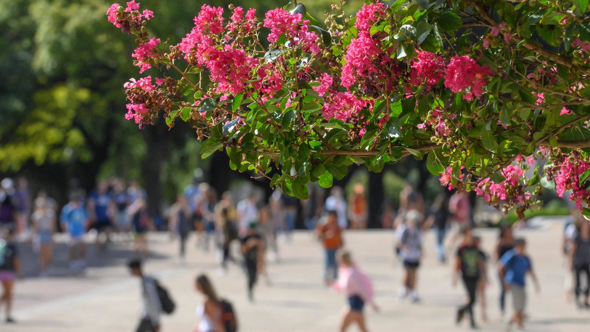 Happy first day of spring classes — we hope everyone in our campus community had a restful break and feels recharged for the term ahead!