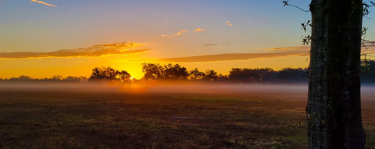 dpciwholesale's tweet photo. Pretty as a picture!😮Had to sneak outside an capture a picture of it😁📸

#Sunrise #MondayMorning #mondaythoughts #Mondayvibes #Wholesale #SumterCountyFL #BushnellFL #Florida #NaturePhotography https://t.co/gITJNLBpJG