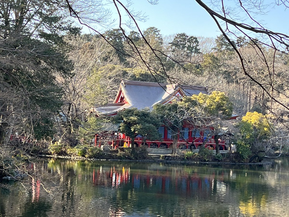 f_goshuin's tweet photo. 三連休の初日、井の頭弁財天 大盛寺に参拝して来ました⛩
井の頭自然文化園のリスの小径にも立ち寄り、とっても癒されました🐿 https://t.co/UhhrqrNOQY