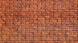 Stefan Willems (Beurs/Expat) tweet media