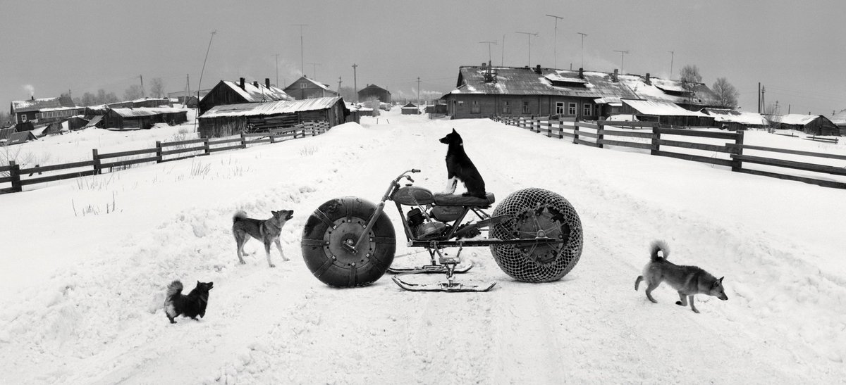 What a picture! — Pentti Sammallahti, Solovki, White Sea, Russia, 1992.