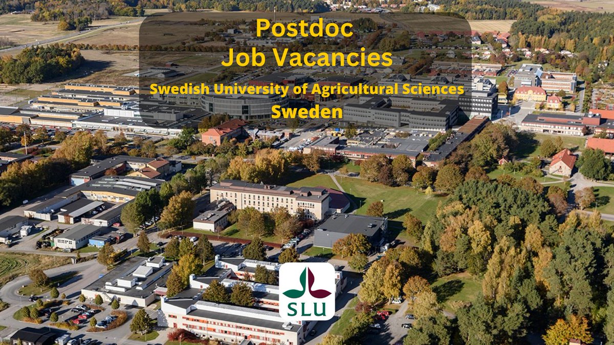 nviewscareer's tweet photo. https://t.co/AbJNgaiuW8
7 Postdoc job vacancies available at SLU, Sweden related to #plantscience #biology #forestry #agriculturalscience
#nviewscareer #postdoc #postdocsweden #slu #slupostdoc #swedenpostdoc #postdocvacancies #postdocpositions #postdocjobs #Postdocjob https://t.co/oTPqS5DdB7