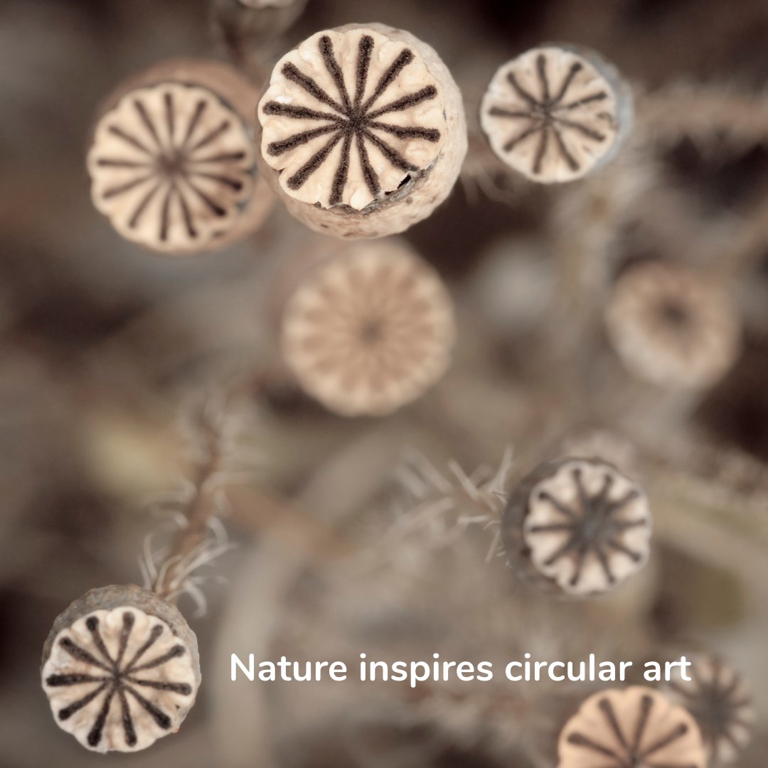 eha_eco's tweet photo. Nature inspires circular art with these poppy seed pods.

Ditch the linear lifestyle of "make, use &amp; throw".. adopt a circular lifestyle.

#renewablematerials ​#carbonfootprint #climatechange #environment #ecofriendly #sustainable #climateaction #globalwarming https://t.co/xAhQKA3if6