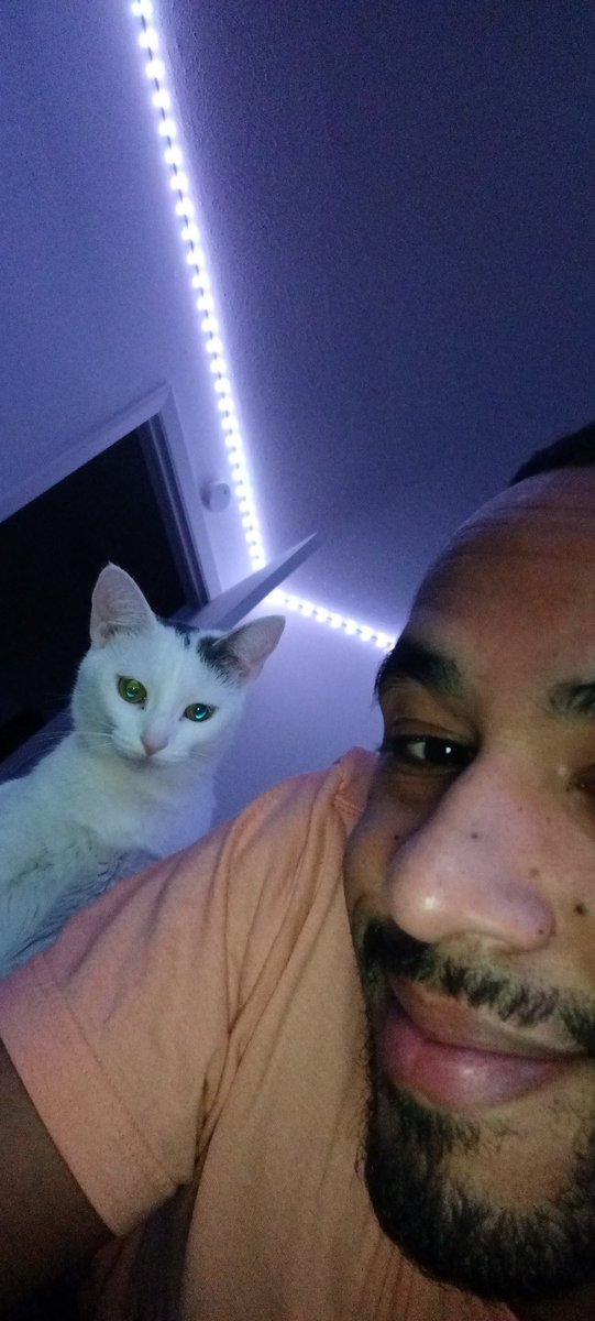 NOSOULXOMMA's tweet photo. 📸😺📸😺📸 #NSLXO https://t.co/QcVThk0Io2
