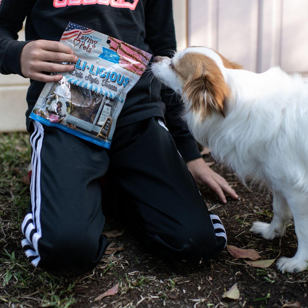 LovingPetsCorp's tweet photo. Fury loves her little brother who is very generous with the treats. 

#ilovemydog #doglovers #dogsarefamily #furfriends #LovingPets https://t.co/vtpNmoH4Gu