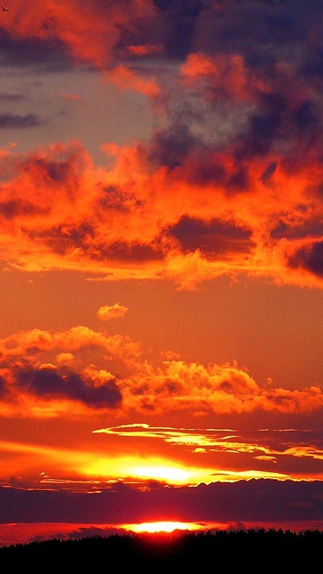 violettweets_'s tweet photo. i wanna watch the sunset with you. https://t.co/wfh2kN2qtB