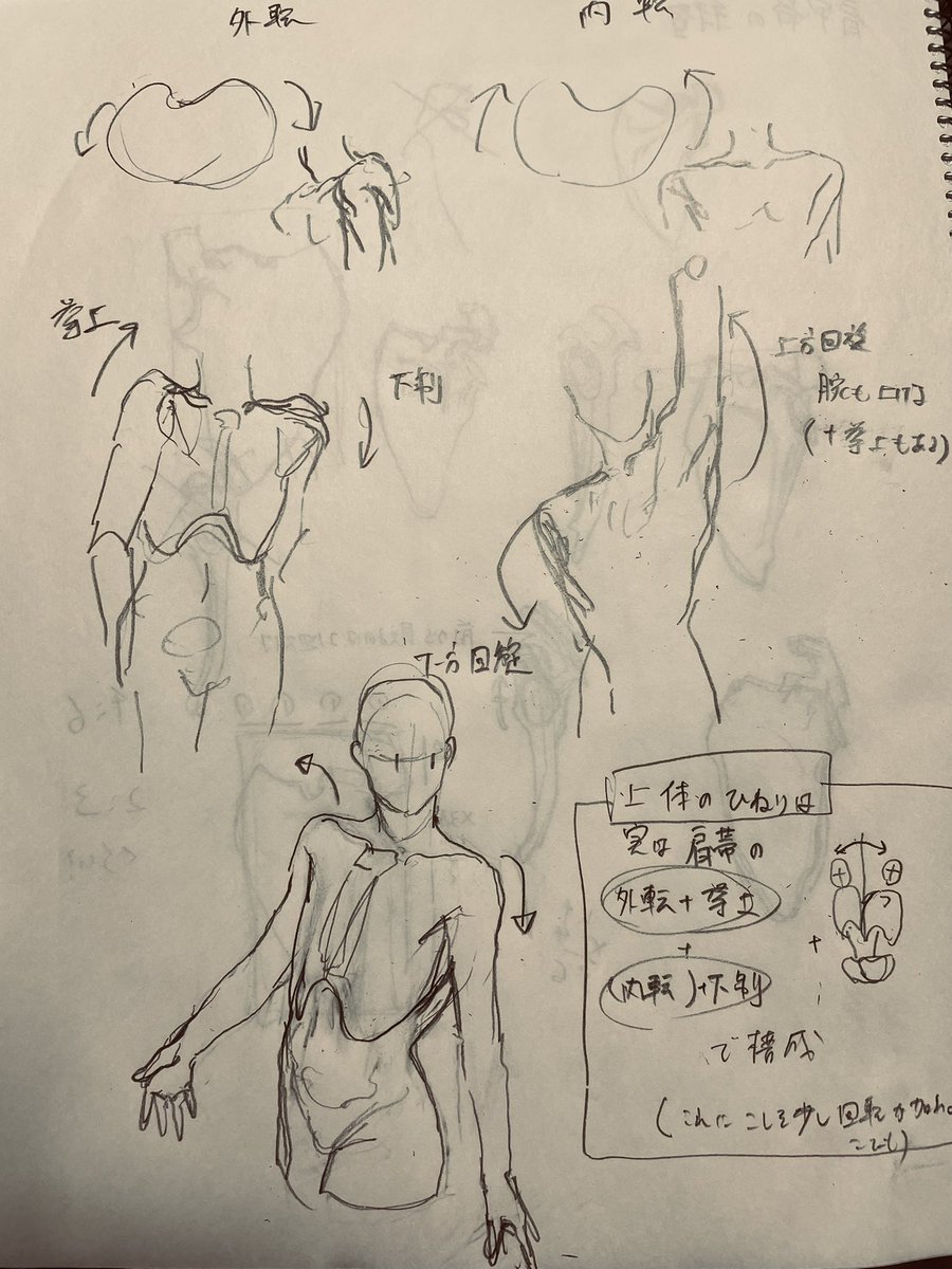 めちゃくちゃスッキリした こういうことらしいです ほぼ肩やんけ 
