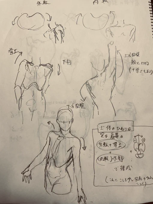 めちゃくちゃスッキリした こういうことらしいです ほぼ肩やんけ 