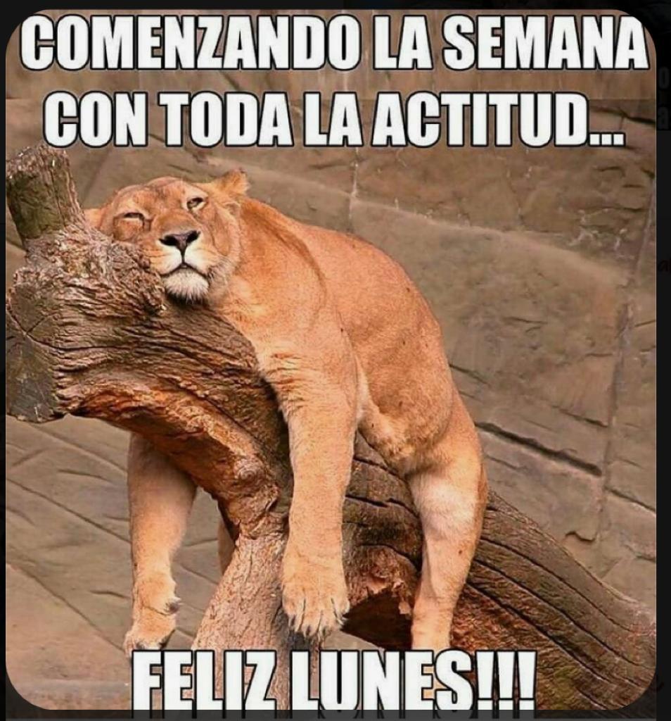 Cuevas_Corimoto's tweet photo. Jajaja solo me provoca dormiiir! el trabajo de Navidad muy fuerte, pero la alegría del Adviento, sentir ánimo, ilusión, alegría y todo, por el nacimiento del Niño Jesús, me llenan de mucha paz, armonía y ganas de comerme el mundo .. 🙏🏻♻️☀️🤸💃 https://t.co/OI59TvfYwm