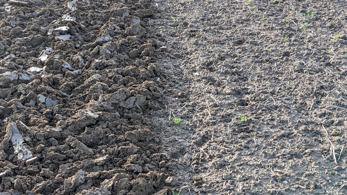 AisneItb's tweet photo. nous avons profité des derniers jours de la semaine passée pour mettre en place un comparatif #travaildusol en vue d'une implantation de @_MissBetter #bio sur une parcelle historiquement en #nonlabour pour voir l'incidence sur la pression #adventice https://t.co/zQJvdBNHof