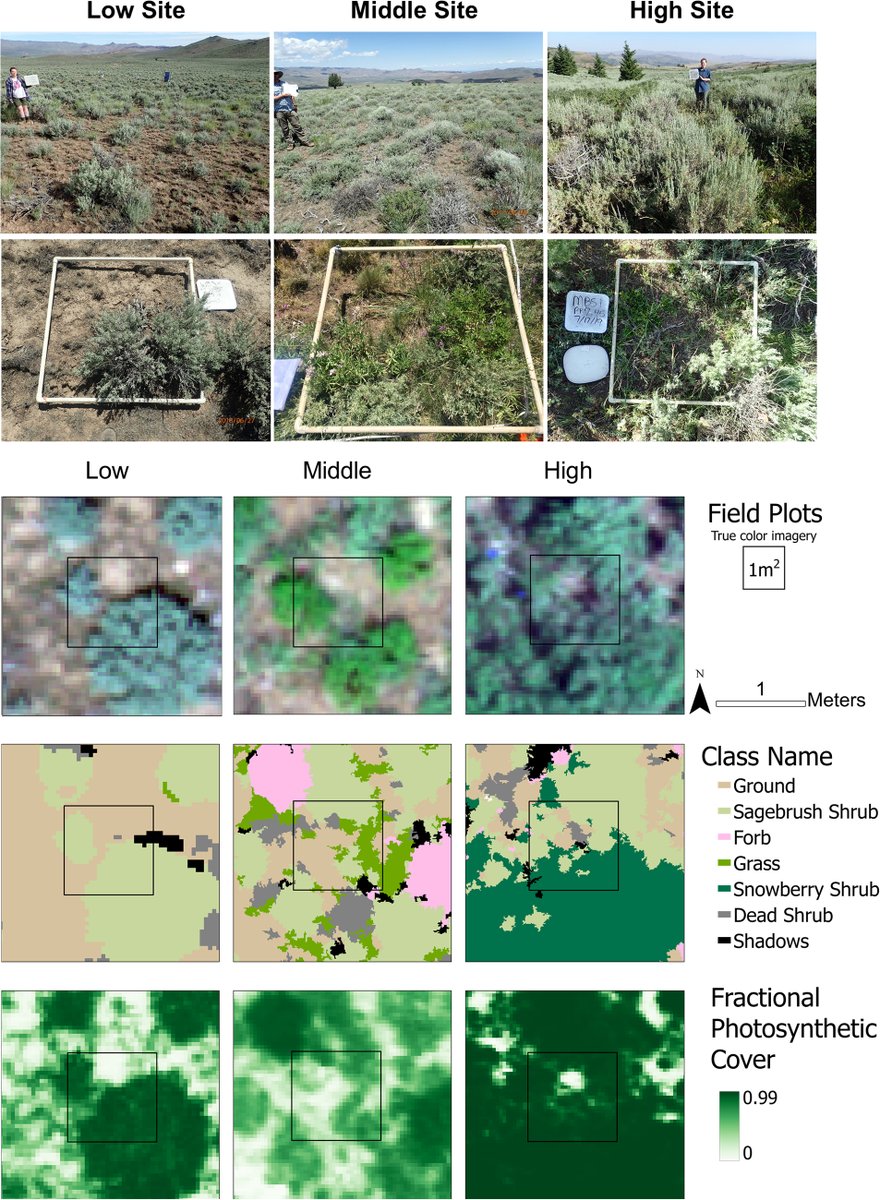 Ecosphere tweet media