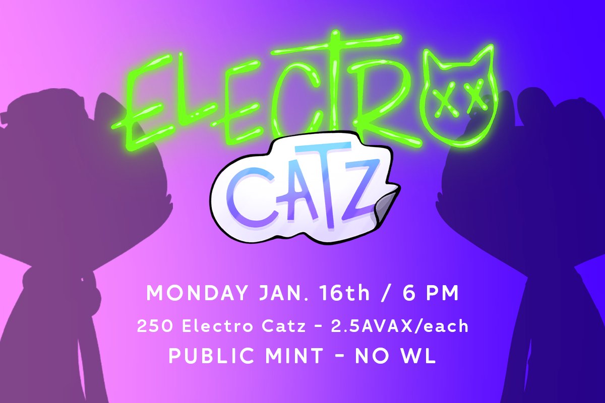 So excited to announce: ElectroCatz!

A small-supply music and art collab between myself and <a href="/risathegiant/">RISA</a> that features 11 house/electro songs.

Hope y'all are ready to dance!!

Minting in 1 week, only on <a href="/joepegsnft/">Joepegs</a>