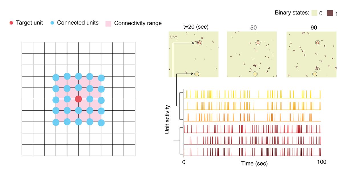 Physical Review Research (@physrevresearch) on Twitter photo Spatial and temporal correlations in neural networks with structured connectivity, Yan-Liang Shi et al <a href="/YanliangShi/">Yanliang Shi</a>
<a href="/roxana_zeraati/">Roxana Zeraati</a> <a href="/SelfOrgAnna/">Anna Levina</a> <a href="/EngelTatiana/">Tatiana Engel</a> #Neuroscience go.aps.org/3ipstkX
More in our Collection on the Physics of Neuroscience: go.aps.org/3bCA0cm Spatial and temporal correlations in neural networks with structured connectivity, Yan-Liang Shi et al <a href="/YanliangShi/">Yanliang Shi</a>
<a href="/roxana_zeraati/">Roxana Zeraati</a> <a href="/SelfOrgAnna/">Anna Levina</a> <a href="/EngelTatiana/">Tatiana Engel</a> #Neuroscience go.aps.org/3ipstkX
More in our Collection on the Physics of Neuroscience: go.aps.org/3bCA0cm