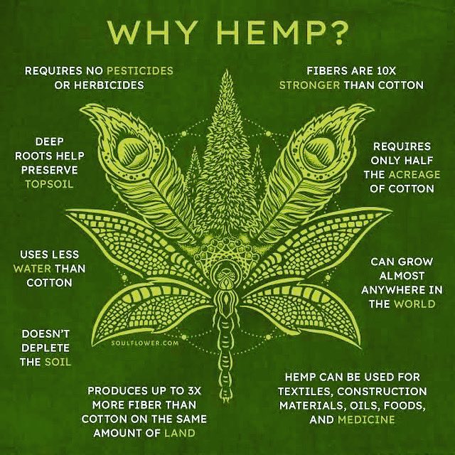 Get to know all that #hemp can do for various industries and us personally. 
Learn how to embrace it without being intimidated. 
#embrace #value #energy #sustainability #knowledge #learn #focus #intention #control #local #indiana #nwi #northwestindiana #authentic #wellness
