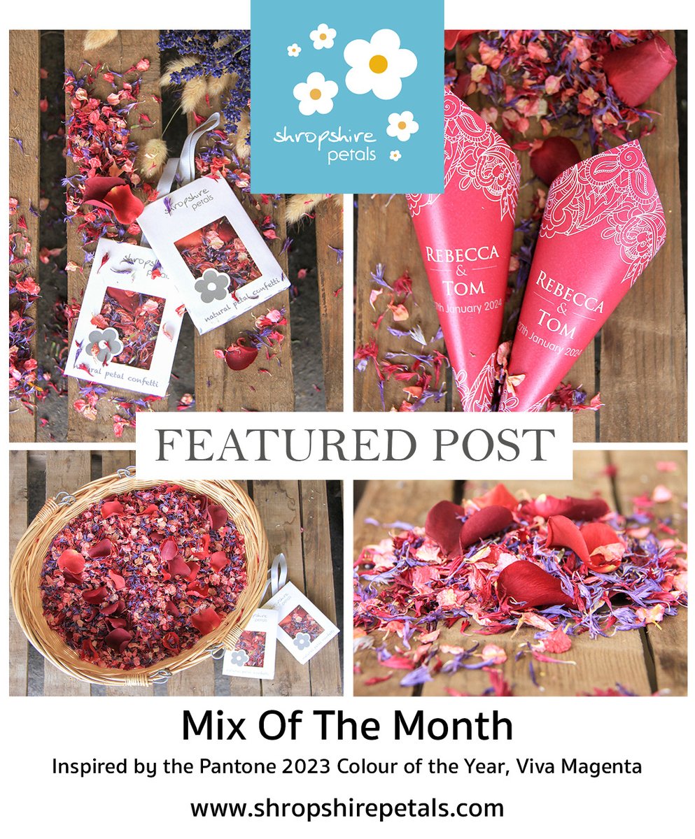 perf_wedding's tweet photo. Mix of the Month - exciting new confetti mix from Shropshire Petals  
https://t.co/MXkObmI1bH https://t.co/LC4YGapXgt