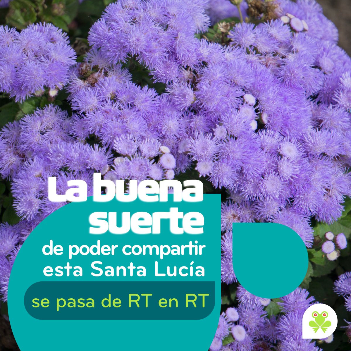 kolbi_cr's tweet photo. Te deseamos prosperidad en este nuevo año que inicia y te compartimos esta flor de Santa Lucía, compartila vos también utilizando la red más veloz 4.5G y llevala con vos siempre. #saltemosjuntos 🐸💚 https://t.co/nBAOzqCrSJ