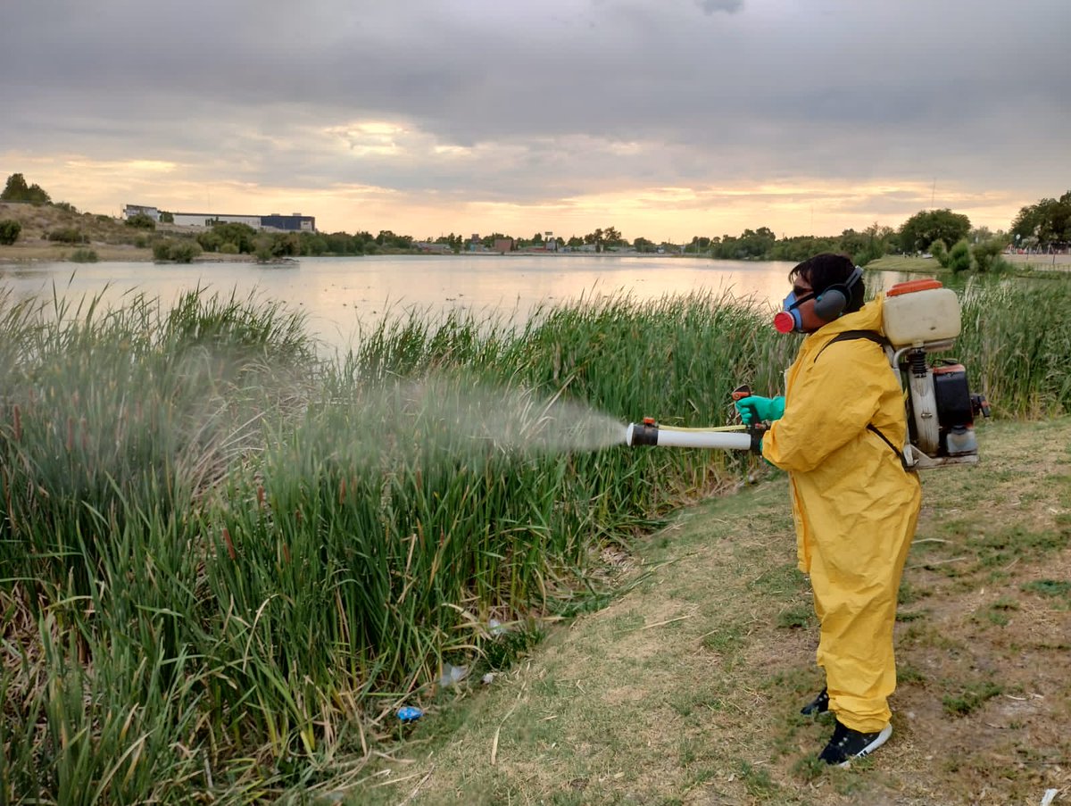 TWAMADERNA's tweet photo. Hoy iniciamos el plan de fumigación en espacios públicos, una actividad de fortalecimiento de las tareas que ya se vienen realizando.
Comenzamos con la Laguna Cacique Chiquichano pero abarcaremos toda la ciudad.

#TenésServicios
#TenésTrelew https://t.co/YVRCNbDznD