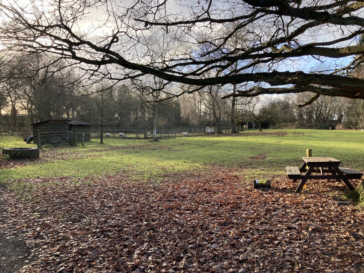 Digital Learning Programme tweet media