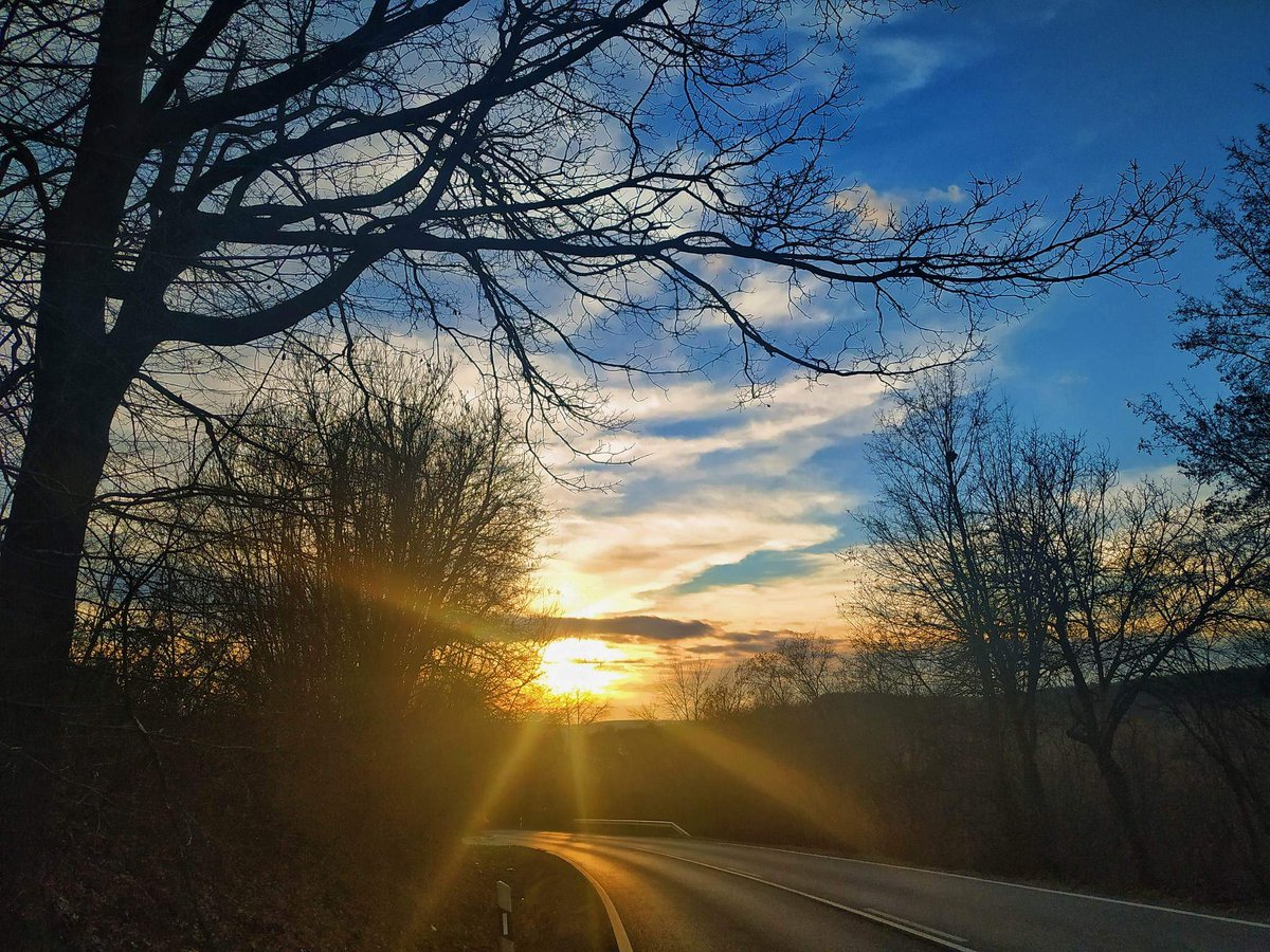 Sunlight🌞
#sunlight #sunlightphotography #winter #hungary #photography

Photo: @AnniePhotos97