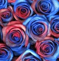 Luckity_Bot_'s tweet image. ֹ ᮫ 𓏳݂  𝐿𝑢𝑐𝑘𝑖𝑡𝑦 𝐵𝑜𝑡! ˵ ִ ۪۫  📓 ꒛۪  ׁׅᘏᘏ ᮫ ⑅
𓄹 タ ⋆🌹: ¡HOLAAA! soy luckity bot o mejor mente luke ꞌꞋꞌ  ₍ᐢ..ᐢ₎ ˖ ࣪⭑
ꗃ  :  🍷 ◖ 𓂃 Soy bot del ship luckity⿻ ‧ ،، ✶ 🗞  ⩉  
𓇬᮫ 🦆  ֹ𓂃݊  Me ayudas con 🔃 y ❤️?  ₍ᐢ｡•༝•｡ᐢ₎  ᯰ˒ ⩇⩇