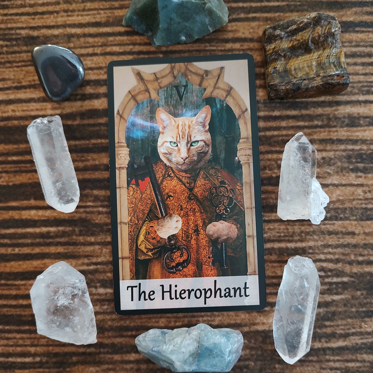 FairySurreal's tweet image. This is the card of those who want to learn new things; the card of the educator and the student. They long to belong and connect with others like themselves.#dailyspread #tarotcats #hierophant #neworleans #magick  buff.ly/3JuZHqI