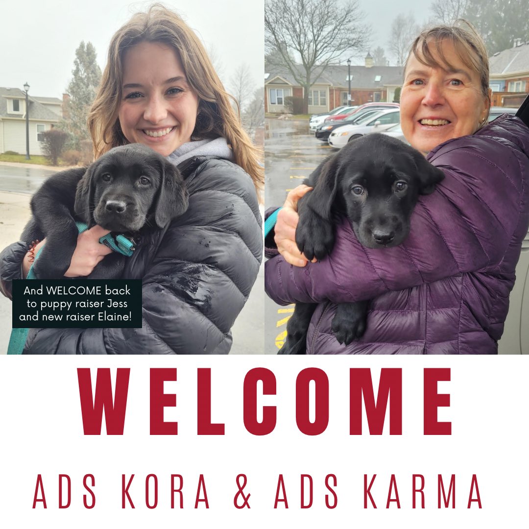 Autism Dog Services tweet media