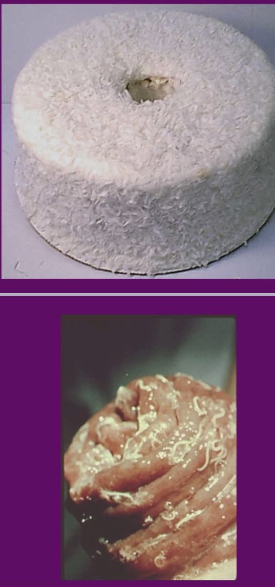 Patrick Rush tweet media