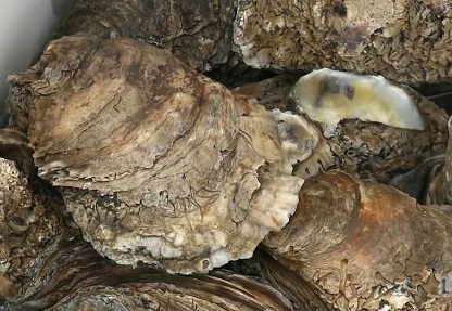 Happy National #OystersRockefeller Day! See <a href="/ChefJohnFolse/">Chef John Folse</a> make #Oysters Rockefeller #Soup on this 2015 episode of his <a href="/lpborg/">LPB</a> series -  
ladigitalmedia.org/video_v2/asset… #LouisianaSeafood #TasteLouisiana