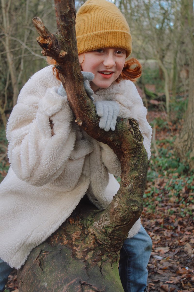 capturedbychels's tweet photo. Today we went to Weelsby Woods 🌲

#grimsby #lincolnshireblogger #homeeducationuk #familyblogger #parentblogger #ugccontentcreator #UGCcreator #lifestyleblogger #contentcreator #homelearning https://t.co/BOODYIr9fW