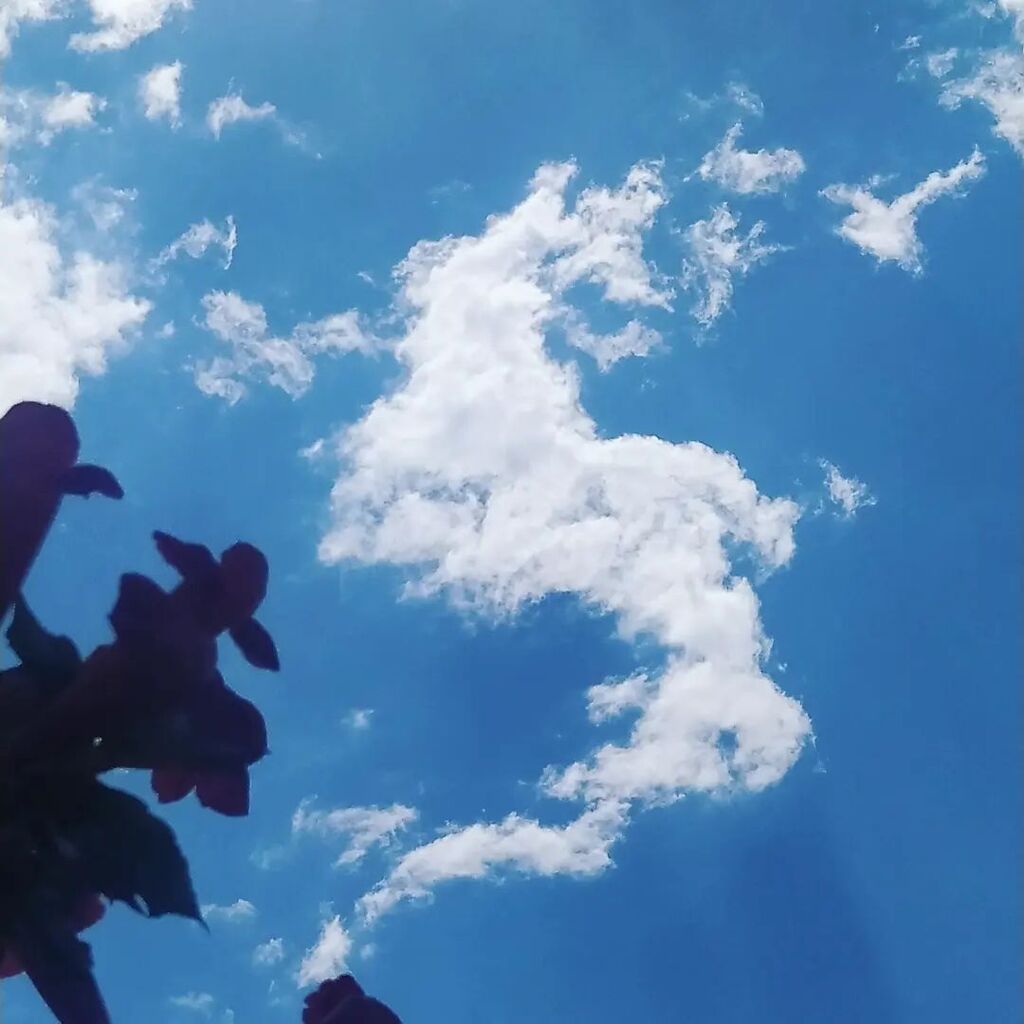 Alvaro G. Ghisolfo tweet media