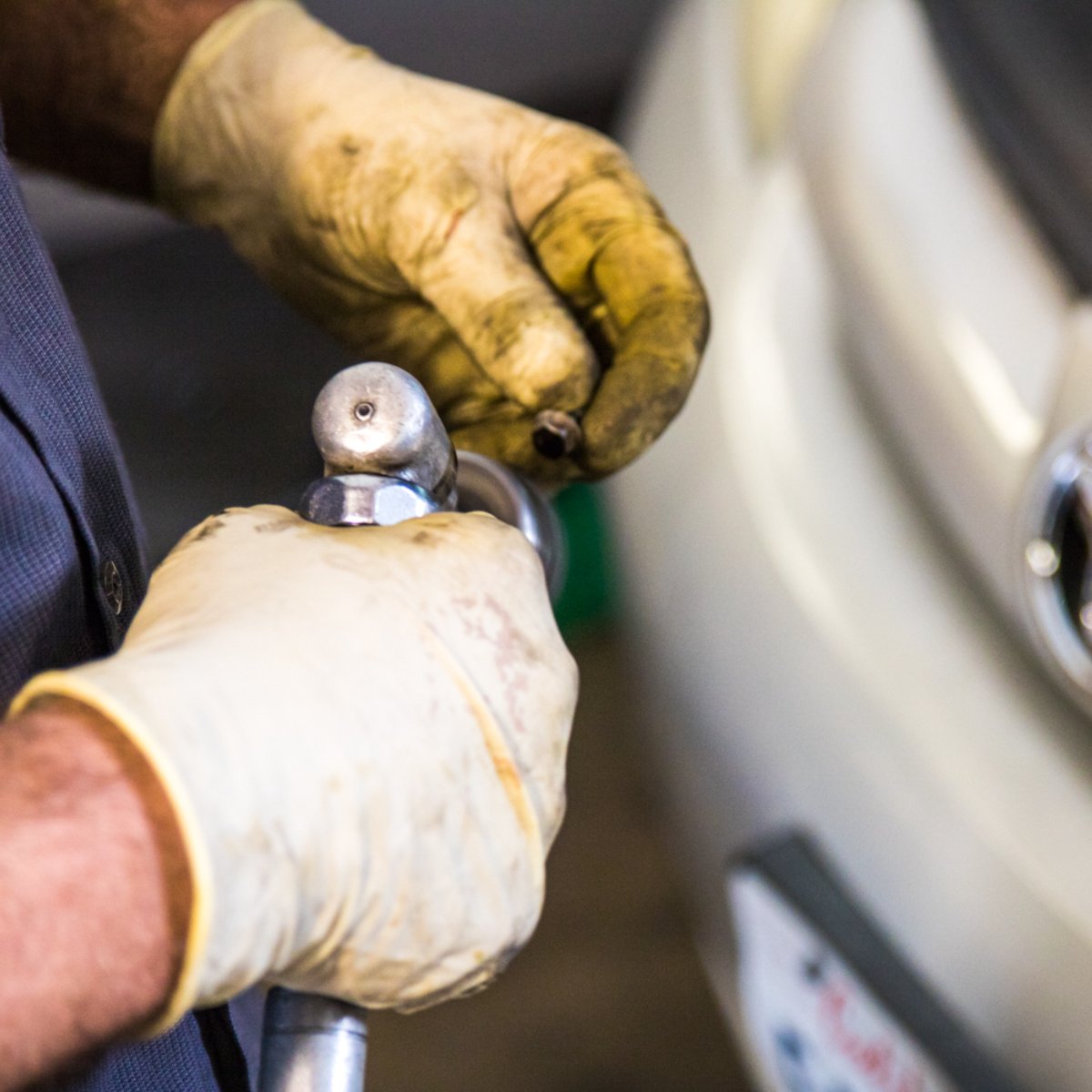 Brownie's Auto tweet media