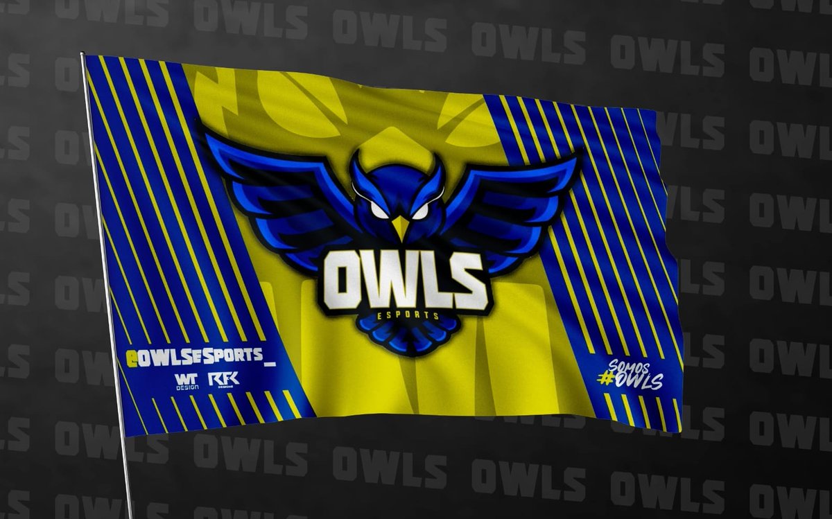 OWLSeSports_'s tweet photo. De parte de todo el equipo queremos mandarle muchos ánimos a nuestro Jefe de equipo @Luis_Amaya17 que por motivos de salud no estará con nosotros en estos próximos días. 
Tus búhos te esperan en el nido!
#SomosOWLS https://t.co/s2pTDvokJU