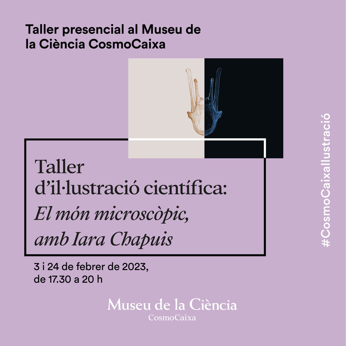 👉Els divendres 3 i 24 de febrer tens una cita en el Museu de la Ciència Cosmocaixa amb el taller d'il·lustració científica ‘El món microscòpic’, impartit per <a href="/iarachapuis/">Iara Chapuis</a> i en el qual ens endinsarem en el fascinant món microscòpic.

cosmocaixa.org/ca/p/taller-de…