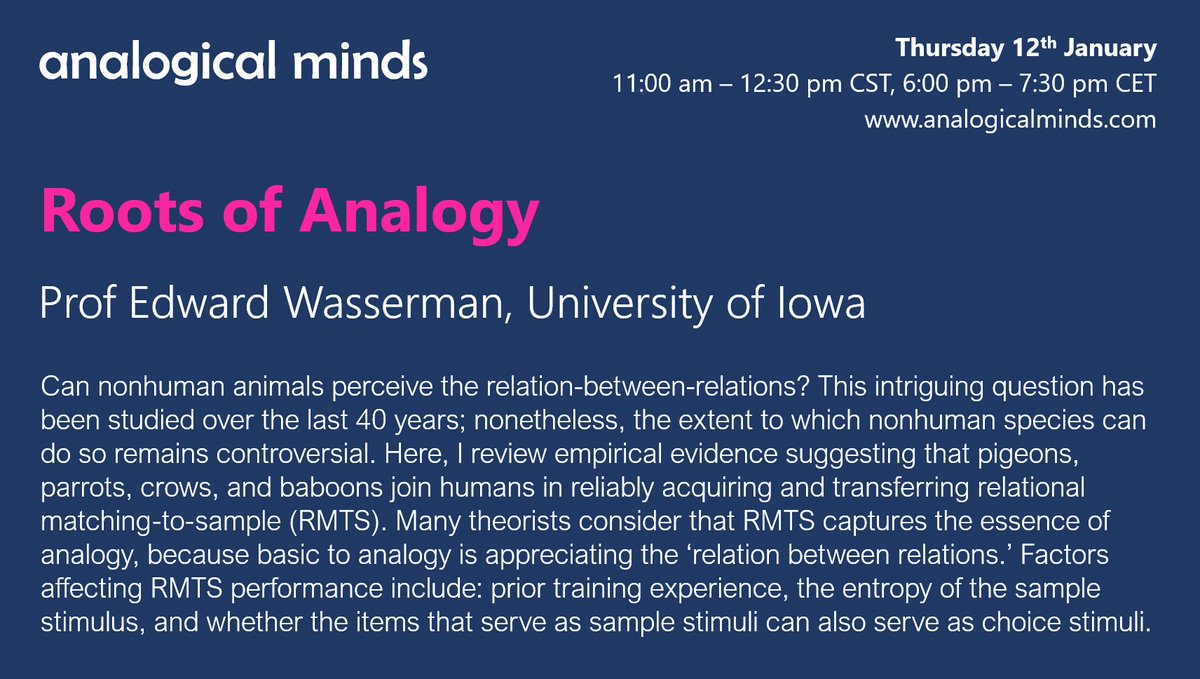 Margarita Pavlova tweet media