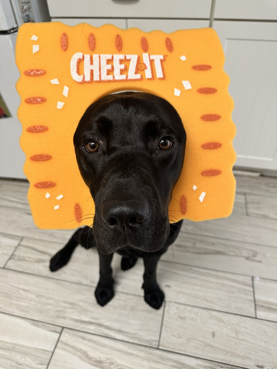 So easy being #Cheesy @cheezit @CheezItBowl  🧀🧀🖤🧀🧀