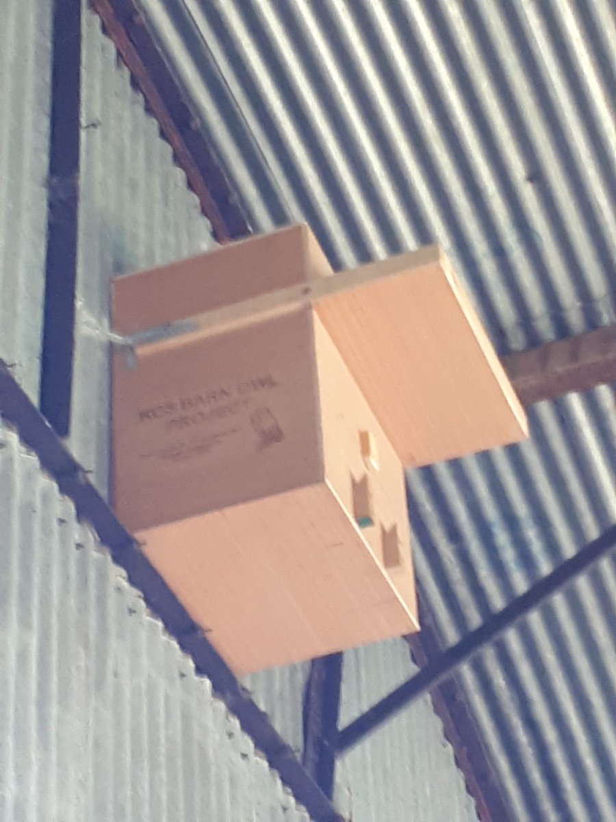 @KCSTechnologySubjec tweet media