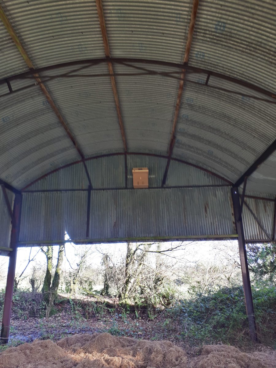 @KCSTechnologySubjec tweet media