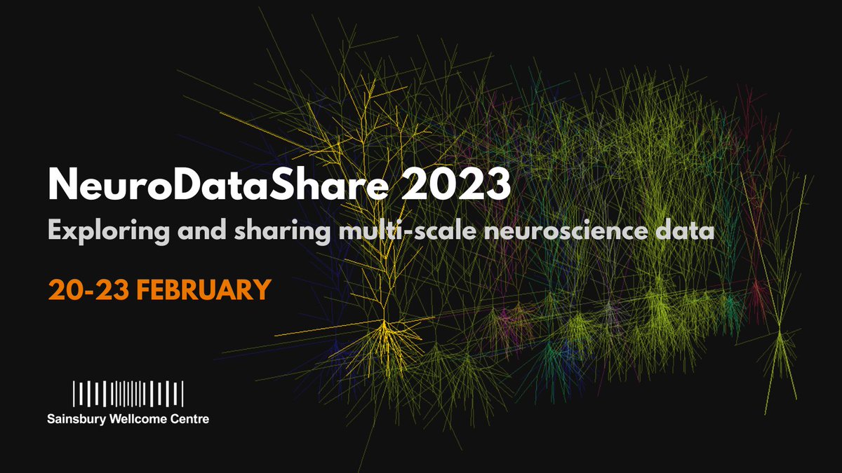 SWC_Neuro's tweet image. We’re excited to announce we will be hosting NeuroDataShare 2023 next month! The meeting will focus on solutions for exploring and sharing multi-scale neuroscience data.

Learn more and save your spot: sainsburywellcome.org/web/events/neu… Image credit: Padraig Gleeson