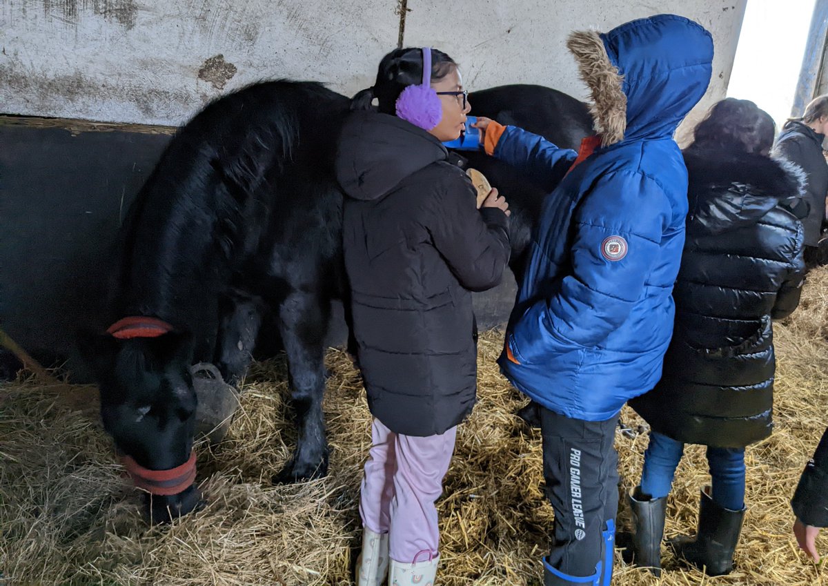 Another great session <a href="/shylowen/">Shy Lowen Sanctuary</a>. Today the children learnt that a female horse is called a mare and a male horse is called a gelding. <a href="/PleasantStPrim/">PleasantStreet</a>