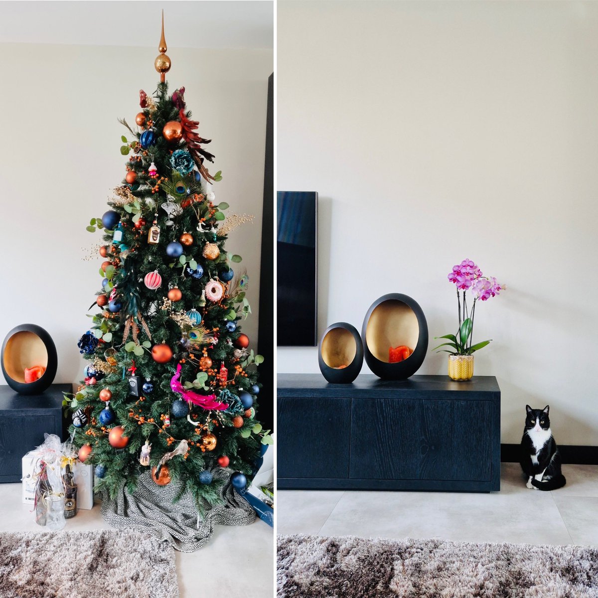 De kerstboom ligt weer op zolder. Tijd voor kleur in je interieur, met een Orchidee. #kerstboomeruitkamerplanterin #byechristmastree #hellohouseplant #phalaenopsis #orchids #cat