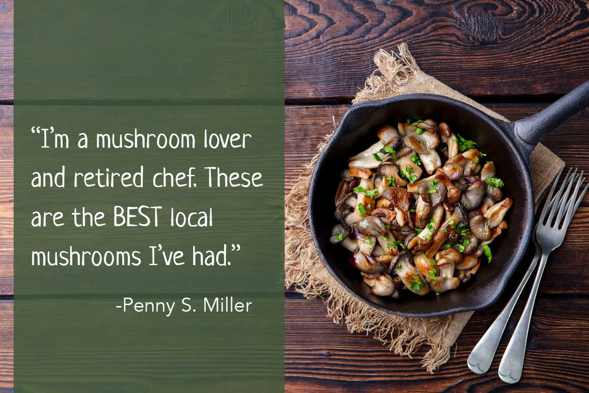 RRCultivation's tweet photo. Whether you need a gourmet mushroom or standard button mushrooms for your restaurant - call us today! We are here and happy to help! https://t.co/UAEjLiYETa https://t.co/u5TTeQtf8N