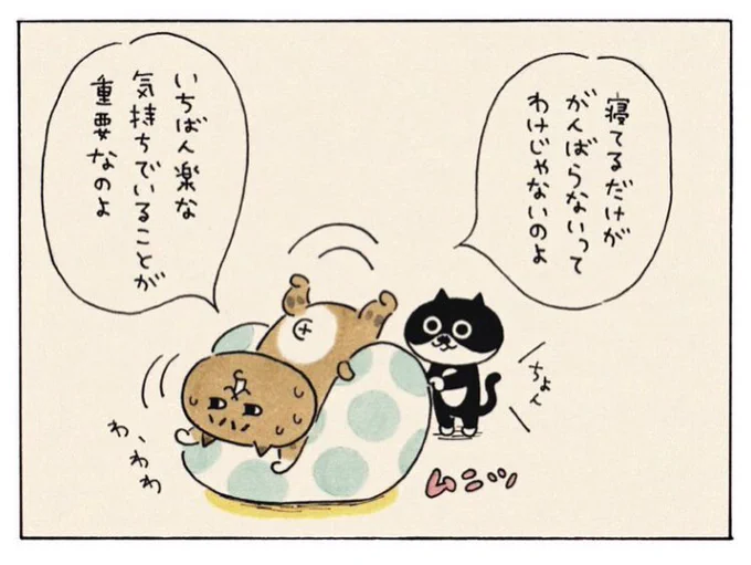 #ミィちゃんは今日もがんばらない 