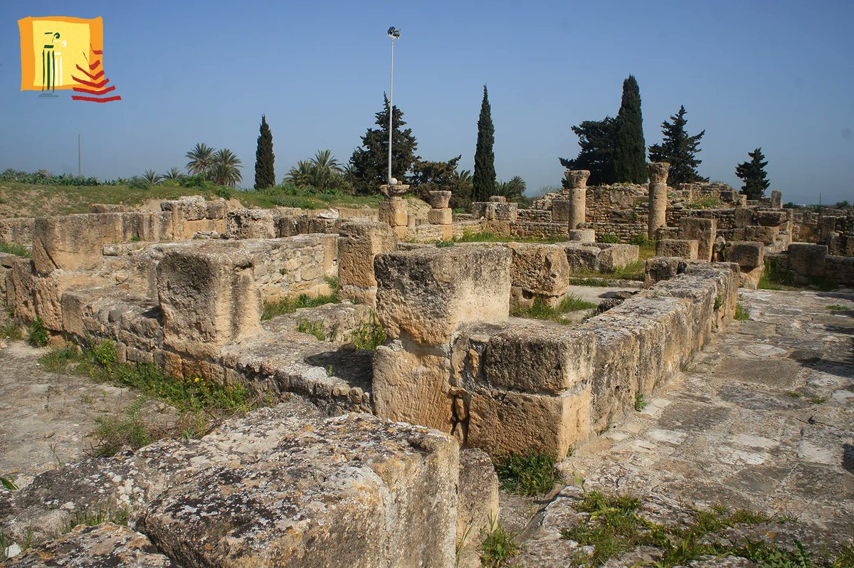 AMVPPC's tweet photo. 🔸Maison du Trésor (Utique - Bizerte)
Elle se situe à l'ouest de la Maison de la Cascade et occupe les lots 1 et 7 de I'Insula II.
#amvppc #patrimoine #utique https://t.co/kaBZoHUNHb