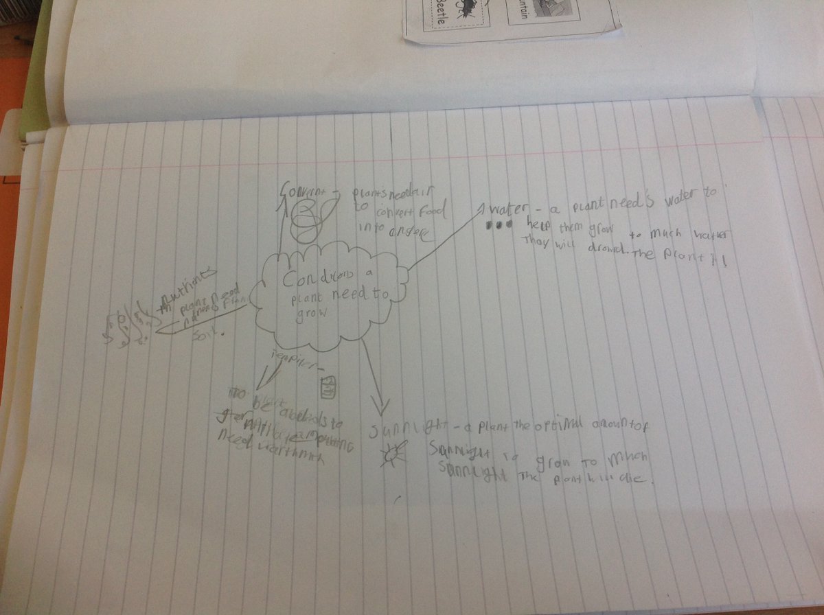 Year3Beck tweet media